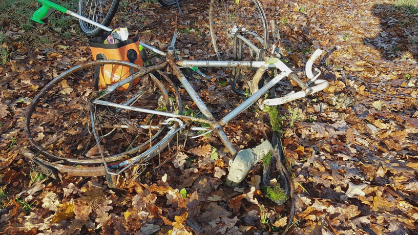 Rostiges und kaputtes Fahrrad liegt auf dem Waldboden.