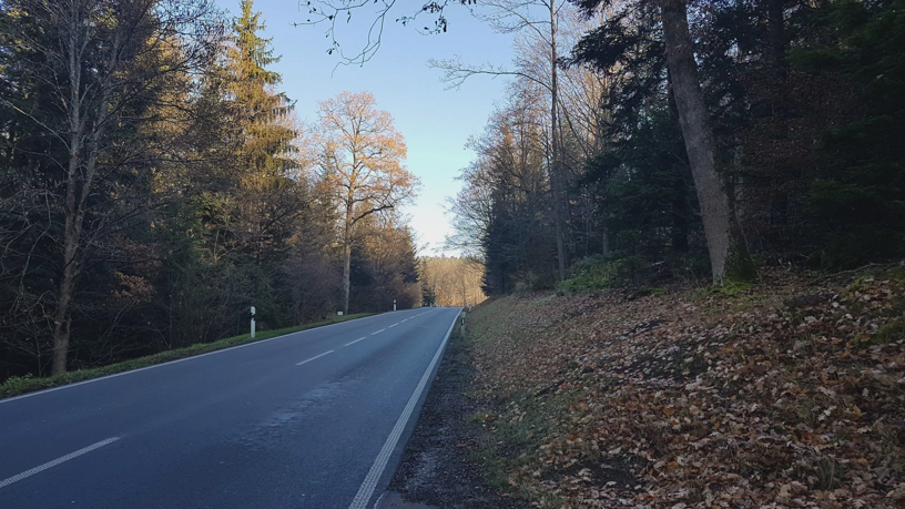 Landstraße durch den Wald.