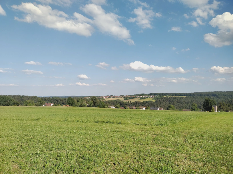 Landschaft mit grüner Wiese, Wald und Dorf in der Mitte und blauem Himmel mit weißen Wolken.
