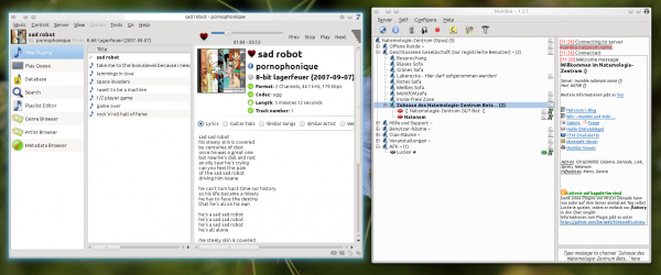 Mumble-Fenster mit Bot und GMPC zur Steuerung des Bots