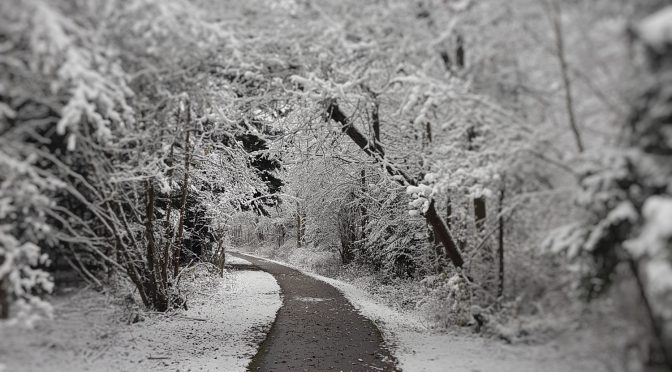 Snap 113 – Märchenwald im Winter